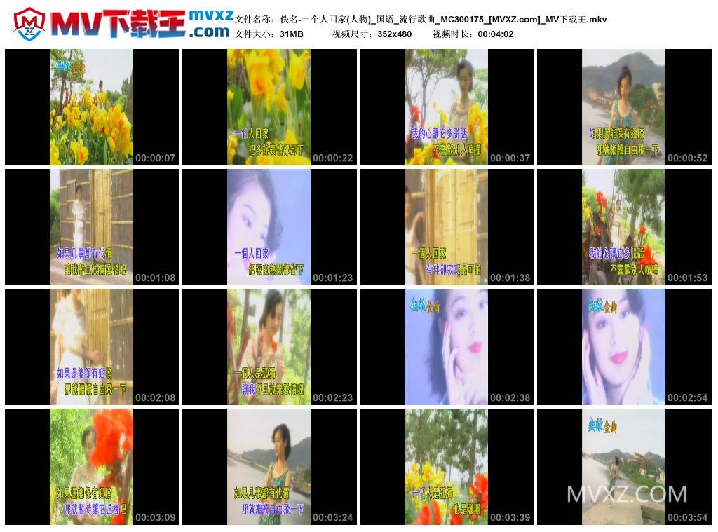 佚名-一个人回家(人物)_国语_流行歌曲_MC300175